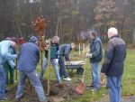 Baumplanzaktion-021.jpg